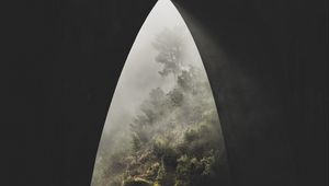 Preview wallpaper jungle, trees, fog, view