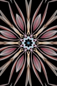 Preview wallpaper kaleidoscope, flower, shapes, abstraction
