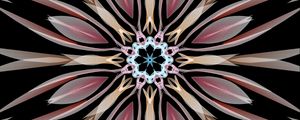 Preview wallpaper kaleidoscope, flower, shapes, abstraction