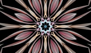 Preview wallpaper kaleidoscope, flower, shapes, abstraction