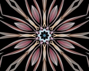 Preview wallpaper kaleidoscope, flower, shapes, abstraction