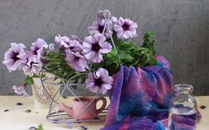 Preview wallpaper kalibrahoa, flowers, watering can, scarf, bottle, water, petals