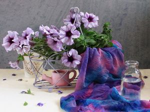 Preview wallpaper kalibrahoa, flowers, watering can, scarf, bottle, water, petals