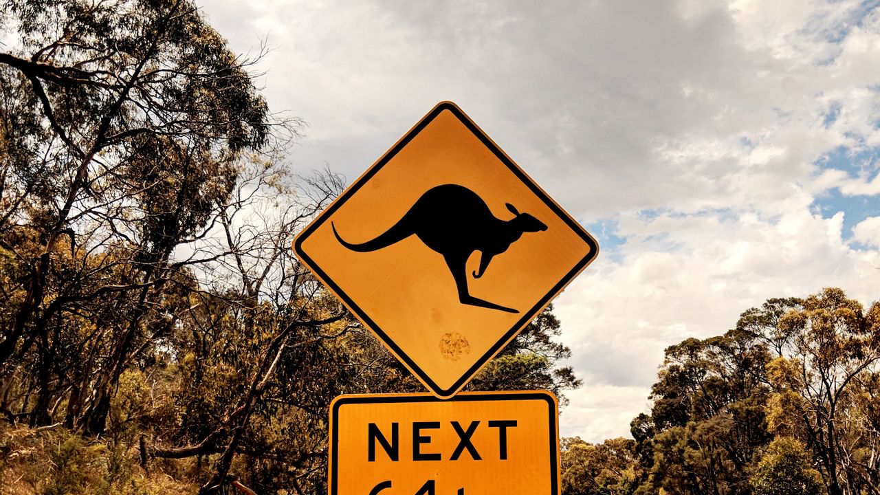 Wallpaper kangaroo, sign, inscription, road