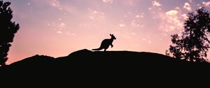 Preview wallpaper kangaroo, silhouette, sky, evening, hill