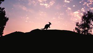 Preview wallpaper kangaroo, silhouette, sky, evening, hill