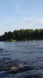 Preview wallpaper karelia, river, coast, wood, trees, current