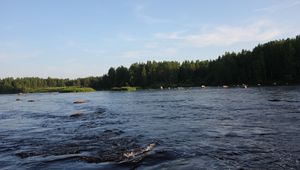 Preview wallpaper karelia, river, coast, wood, trees, current