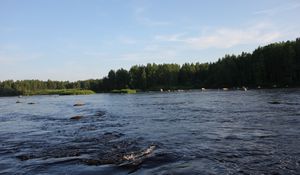 Preview wallpaper karelia, river, coast, wood, trees, current