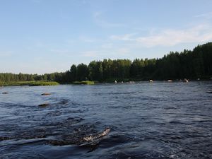 Preview wallpaper karelia, river, coast, wood, trees, current