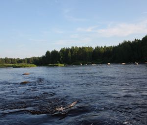 Preview wallpaper karelia, river, coast, wood, trees, current