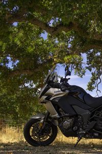 Preview wallpaper kawasaki, motorcycle, bike, black, tree