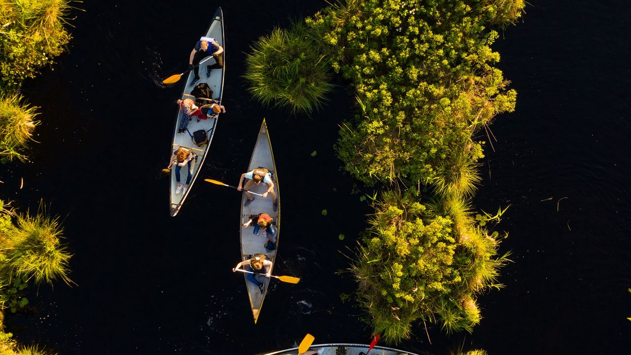 Wallpaper kayaks, boats, river, aerial view