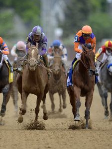 Preview wallpaper kentucky derby, kentucky derby 2015, kentucky derby odds, horse, racing