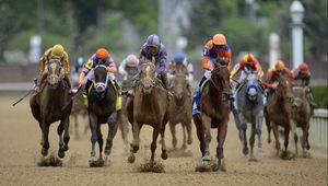 Preview wallpaper kentucky derby, kentucky derby 2015, kentucky derby odds, horse, racing