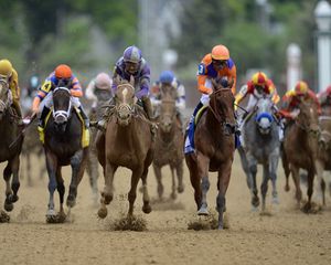 Preview wallpaper kentucky derby, kentucky derby 2015, kentucky derby odds, horse, racing