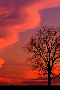 Preview wallpaper kentucky, evening, decline, clouds, tree, sky