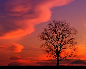 Preview wallpaper kentucky, evening, decline, clouds, tree, sky