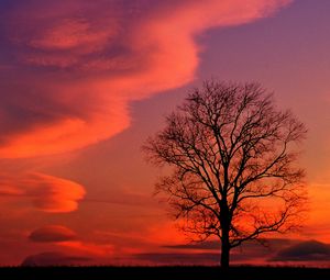 Preview wallpaper kentucky, evening, decline, clouds, tree, sky