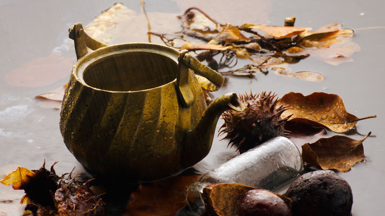 Wallpaper kettle, rain, chestnuts, leaves, autumn