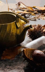 Preview wallpaper kettle, rain, chestnuts, leaves, autumn