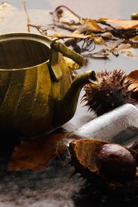 Preview wallpaper kettle, rain, chestnuts, leaves, autumn