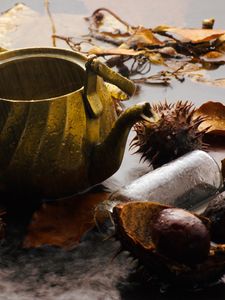 Preview wallpaper kettle, rain, chestnuts, leaves, autumn