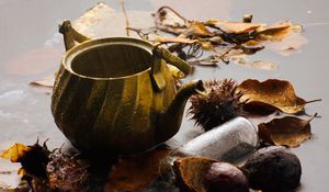 Preview wallpaper kettle, rain, chestnuts, leaves, autumn