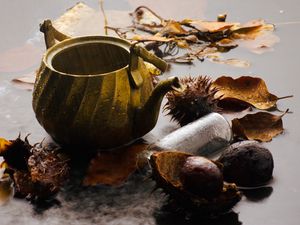 Preview wallpaper kettle, rain, chestnuts, leaves, autumn