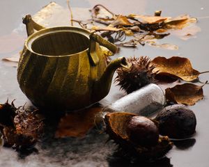 Preview wallpaper kettle, rain, chestnuts, leaves, autumn