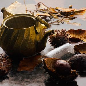 Preview wallpaper kettle, rain, chestnuts, leaves, autumn