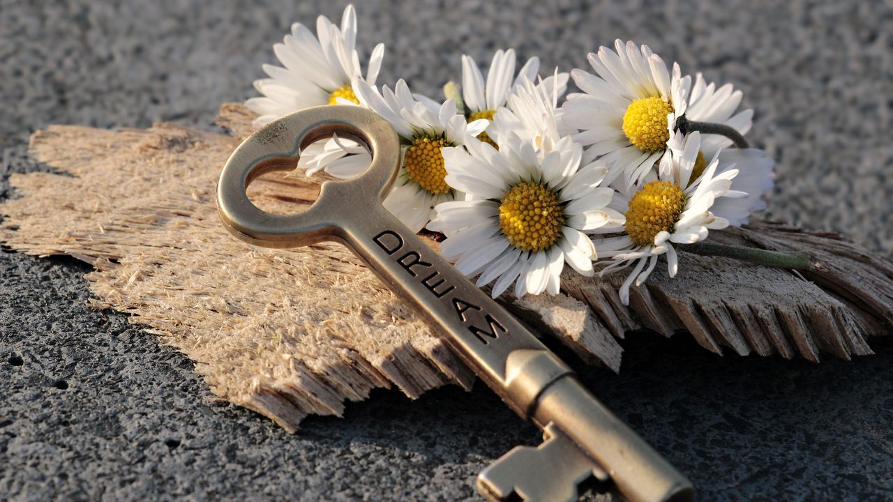 1280x720 Wallpaper key, daisies, inscription, dream