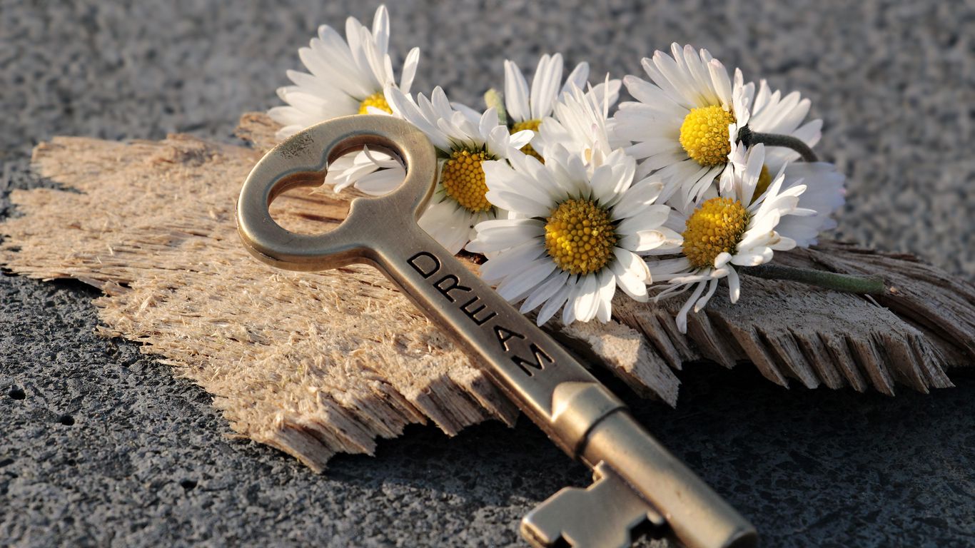 1366x768 Wallpaper key, daisies, inscription, dream