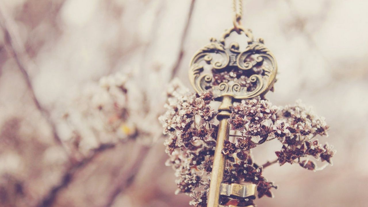 Wallpaper key, flowers, blur, souvenir