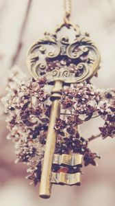 Preview wallpaper key, flowers, blur, souvenir