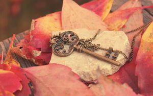Preview wallpaper key, metal, leaves, autumn, red, chain, stone, board