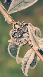 Preview wallpaper key, plant, branch, frost, leaves, string, cold