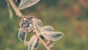 Preview wallpaper key, plant, branch, frost, leaves, string, cold