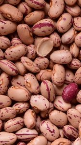 Preview wallpaper kidney beans, beans, seeds