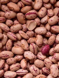 Preview wallpaper kidney beans, beans, seeds