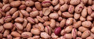 Preview wallpaper kidney beans, beans, seeds