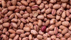 Preview wallpaper kidney beans, beans, seeds