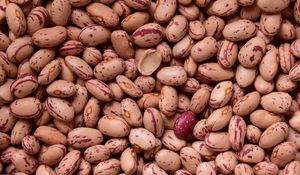 Preview wallpaper kidney beans, beans, seeds