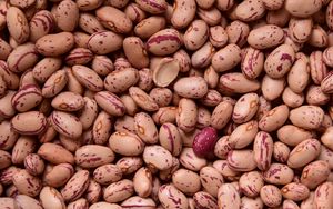 Preview wallpaper kidney beans, beans, seeds