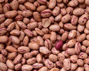 Preview wallpaper kidney beans, beans, seeds