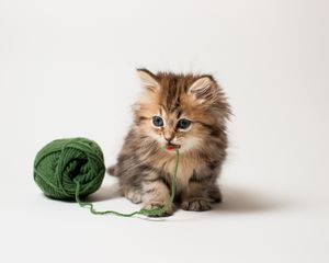 Preview wallpaper kitten, ball, thread, playful, kid, fluffy