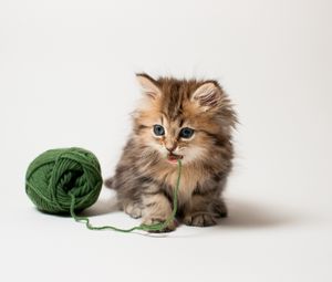 Preview wallpaper kitten, ball, thread, playful, kid, fluffy