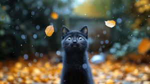 Preview wallpaper kitten, cat, autumn, snow, cute