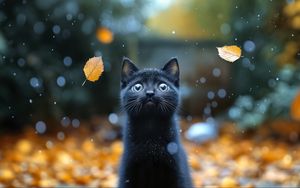 Preview wallpaper kitten, cat, autumn, snow, cute