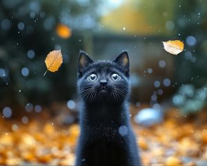 Preview wallpaper kitten, cat, autumn, snow, cute